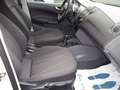 SEAT Ibiza Copa 1.2 TDI 5p Auto in conto vendita Weiß - thumbnail 13