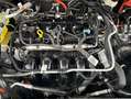 Ford Kuga 2.5 Duratec PHEV TITANIUM Schwarz - thumbnail 17