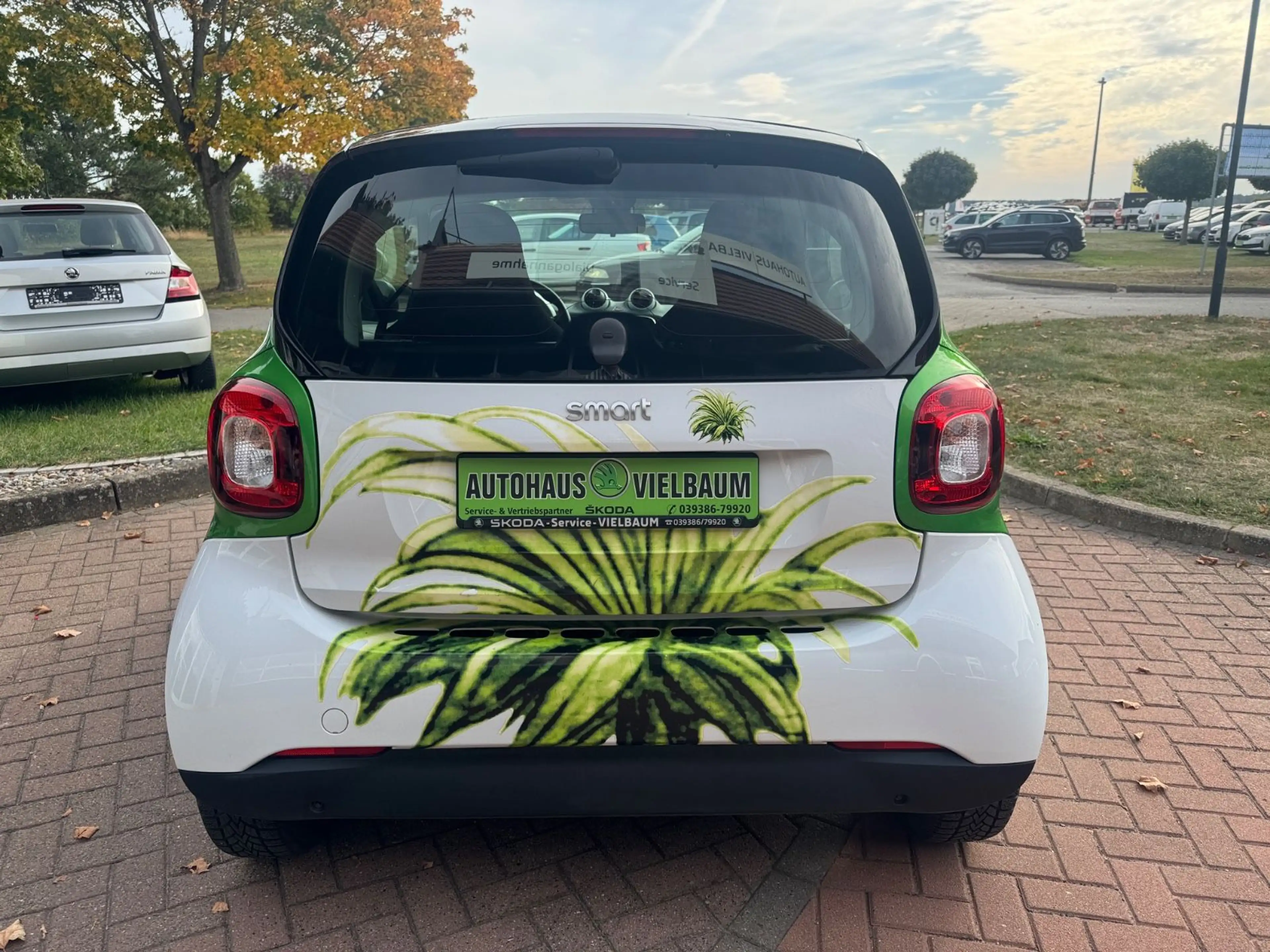 smart forTwo fortwo coupe electric drive / EQ — photo 9