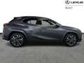 Lexus UX 250h Privilege Line & Mark Levinson Noir - thumbnail 16