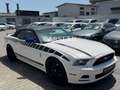 Ford Mustang 3.7 V6 CABRIO "LED+20"+LEDER+Bi-XENON" Blanc - thumbnail 12