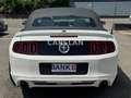Ford Mustang 3.7 V6 CABRIO "LED+20"+LEDER+Bi-XENON" Blanc - thumbnail 5