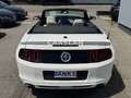 Ford Mustang 3.7 V6 CABRIO "LED+20"+LEDER+Bi-XENON" Wit - thumbnail 19