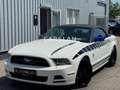Ford Mustang 3.7 V6 CABRIO "LED+20"+LEDER+Bi-XENON" Blanc - thumbnail 3