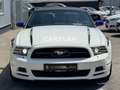 Ford Mustang 3.7 V6 CABRIO "LED+20"+LEDER+Bi-XENON" Blanc - thumbnail 2