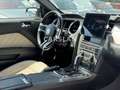 Ford Mustang 3.7 V6 CABRIO "LED+20"+LEDER+Bi-XENON" Wit - thumbnail 16