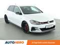 Volkswagen Golf GTI 2.0 TSI GTI TCR Aut.*DYNAUDIO*ACC*LED*NAVI*PDC* Weiß - thumbnail 8