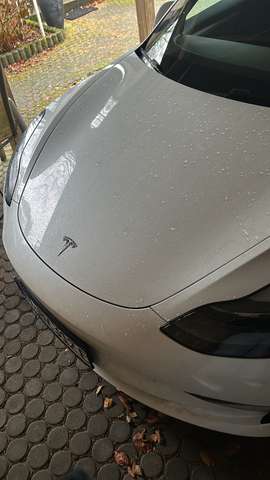 Tesla Model 3 Model 3 Allradantrieb Dual Motor Performance