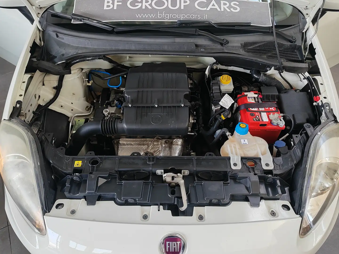 Fiat Punto Punto 5p 1.2 Young *OFFERTA BLEU DAYS MESE mag25* Wit - 2