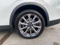 Mazda CX-60 2.5L e-SKYACTIV PHEV AWD EXCLUSIVE Aut. Weiß - thumbnail 12