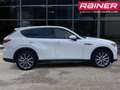 Mazda CX-60 2.5L e-SKYACTIV PHEV AWD EXCLUSIVE Aut. Weiß - thumbnail 5