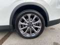 Mazda CX-60 2.5L e-SKYACTIV PHEV AWD EXCLUSIVE Aut. Weiß - thumbnail 12