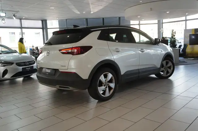 Opel Grandland view 9