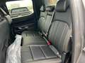 Ford Ranger 3.0 Ecoblue Wildtrak 4WD Doppelkabine AHK Grau - thumbnail 13