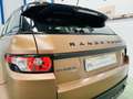 Land Rover Range Rover Evoque 2.2L SD4 Prestige 4x4 190 Aut. Marrón - thumbnail 9