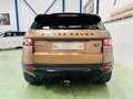 Land Rover Range Rover Evoque 2.2L SD4 Prestige 4x4 190 Aut. Marrón - thumbnail 11