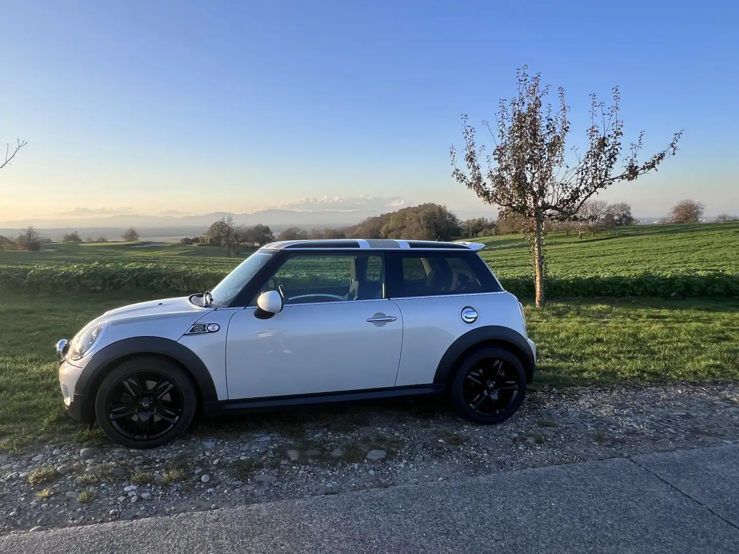 MINI Cooper S 50 Camden - 1