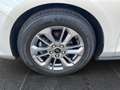 Ford Focus Turnier 1,5D Tita. Family-Paket3 AGR-Sitze Silber - thumbnail 21