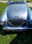 Austin-Healey 100 totaal restauratie - thumbnail 1