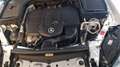 Mercedes-Benz GLC 200 GLC 200 d 4MATIC Aut. Weiß - thumbnail 24