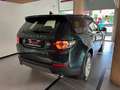 Land Rover Discovery Sport 2.0 td4 Pure awd 150cv auto Verde - thumbnail 5