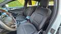 Ford Focus ST-Line*Keyles*Winterpak*ACC*Assistpak*Rückfk Weiß - thumbnail 25