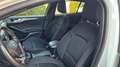 Ford Focus ST-Line*Keyles*Winterpak*ACC*Assistpak*Rückfk Weiß - thumbnail 11