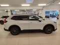 Honda CR-V CR-V 2.0 hev Elegance awd Argento - thumbnail 4