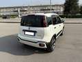 Fiat Panda Panda 1.0 hybrid 70cv Cross Bianco - thumbnail 3