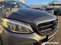 Mercedes-Benz C 220 C 220 d Avantgarde BURMESTER+360°+AMG+LUFT+SHD BC Gris - thumbnail 10