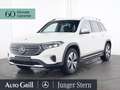 Mercedes-Benz EQB 300 4M Progressive DistronicOD Flexbonus RFK Wit - thumbnail 2