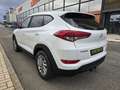 Hyundai TUCSON 1.6 GDI BD Tecno 4x2 Go Weiß - thumbnail 5