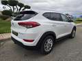 Hyundai TUCSON 1.6 GDI BD Tecno 4x2 Go Weiß - thumbnail 7