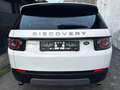 Land Rover Discovery Sport 2,0 Basis AWD Leder*Navi*Pdc Blanc - thumbnail 5