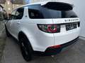 Land Rover Discovery Sport 2,0 Basis AWD Leder*Navi*Pdc Blanc - thumbnail 4