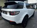 Land Rover Discovery Sport 2,0 Basis AWD Leder*Navi*Pdc Blanc - thumbnail 6