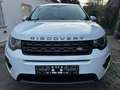 Land Rover Discovery Sport 2,0 Basis AWD Leder*Navi*Pdc Weiß - thumbnail 2