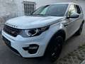 Land Rover Discovery Sport 2,0 Basis AWD Leder*Navi*Pdc Weiß - thumbnail 3