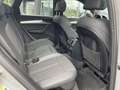 Audi Q5 40 TDI quattro S line *PANO*AHK*LUFT*TOP* Grau - thumbnail 13