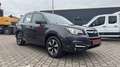 Subaru Forester 4x4 Exclusive LED RFK AHK SHZ Gris - thumbnail 18