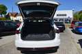 Volkswagen Touareg 3.0 V6 TDI R line Matrix LED Luft ACC AHK Blanc - thumbnail 20