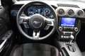Ford Mustang Cabrio California V8 Aut., MAGNE RIDE Grau - thumbnail 23