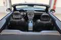 Ford Mustang Cabrio California V8 Aut., MAGNE RIDE Grau - thumbnail 22