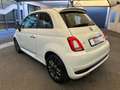 Fiat 500 1.0 hybrid Connect 70cv "OK NEOPATENTATI" Blanc - thumbnail 9