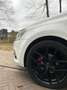 Volkswagen Polo 1.4 TDI Comfortline, Distributieriem+waterpomp Wit - thumbnail 2