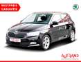 Skoda Fabia 1.0 MPI Cool Plus DAB Sitzheizung PDC Schwarz - thumbnail 1