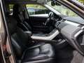 Land Rover Range Rover Evoque TD4 150PS SE Panoramadach, Sitzheizung Bruin - thumbnail 3