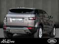 Land Rover Range Rover Evoque TD4 150PS SE Panoramadach, Sitzheizung Bruin - thumbnail 2