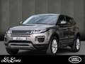 Land Rover Range Rover Evoque TD4 150PS SE Panoramadach, Sitzheizung Bruin - thumbnail 1