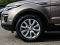 Land Rover Range Rover Evoque TD4 150PS SE Panoramadach, Sitzheizung Bruin - thumbnail 9